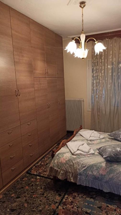 Panourgia'S House Apartment Tríkala Екстериор снимка