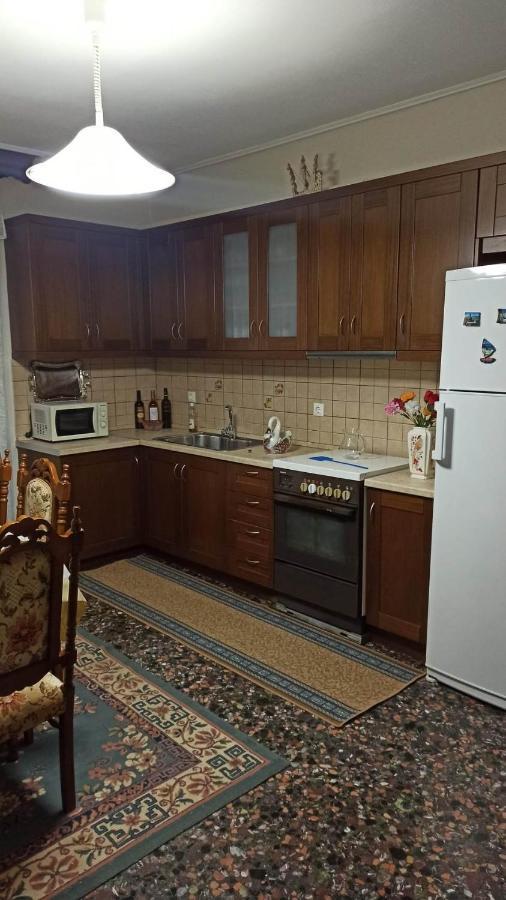 Panourgia'S House Apartment Tríkala Екстериор снимка