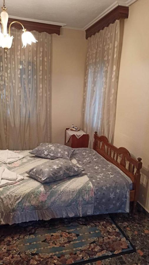 Panourgia'S House Apartment Tríkala Екстериор снимка